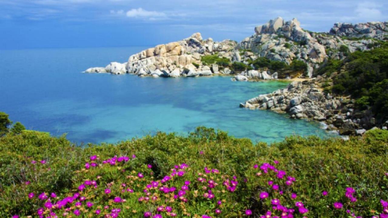 Ferienwohnung Vacanze Sardegna Santa Teresa Gallura Exterior foto